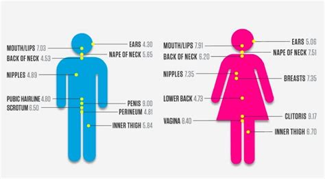 meesterminnaar|10 Erogene Zones Van De Man & Waar Ze Zitten